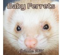 Baby Ferrets Calendar 2026: 12 Months Organizer From January to December
