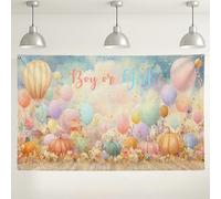 Baby Gender Reveal Backdrop, Colorful Balloon Fantasy Wall Decorations, Cute Autumn Party Supplies for Photography, Seasonal Events, Outdoor Indoor Use 71x43 Inch