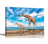 Baby Giraffe Blue Sky Canvas Wall Art Prints Bird Pictures Animal Artwork Home Bedroom Garden Decor Framed Posters 51 x 35cm (20 x 14 inches)