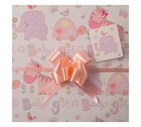 Baby Girl Gift Wrap Pack, Two Sheets, Two Matching Tags and Two Pale Pink Pull Bows, Arrives in an A4 Boarded Envelope for protection, Baby Shower/Birth, First Birthday, Christening,