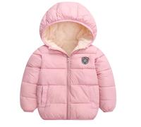 Baby Girl Winter Coat Winter Jacket 2 Year Old Baby Fleece Hooded Padded Jacket Pink 2-3 Years