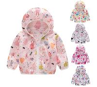 Baby Girls Boys Dinosaur Windbreaker Waterproof Windproof Hooded Jacket Zip Up Cute Animals Floral Pattern Lightweight Softshell Jacket Long Sleeve Coat (Pink-C, 12 Months)