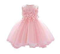 Baby Girls Dress Formal Tutu Gowns Floral Embroidered Lace Pageant Birthday Party Wedding Dress for Infant Toddler Princess Christening Dance Evening Prom Sundress for Photo Shoot Pink 6-12 Months
