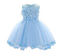 Baby Girls Dress Formal Tutu Gowns Floral Embroidered Lace Pageant Birthday Party Wedding Dress for Infant Toddler Princess Christening Baptism Communion Prom Sundress Light Blue 6-12 Months