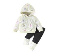 Baby Girls Summer Clothes Set 2 Piece Outfits Hoodies Sweatshirts Coats Pants Jogger Trousers Set Toddler Infant Contrast Color Clothes Floral Hoodie Sweatshirt Flower Pants Tracksuit