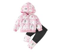 Baby Girls Summer Clothes Set 2 Piece Outfits Hoodies Sweatshirts Coats Pants Jogger Trousers Set Toddler Infant Contrast Color Clothes Floral Hoodie Sweatshirt Flower Pants Tracksuit