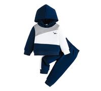 Baby Girls Summer Clothes Set 2 Piece Outfits Hoodies Sweatshirts Coats Pants Jogger Trousers Set Toddler Infant Contrast Color Clothes Floral Hoodie Sweatshirt Flower Pants Tracksuit