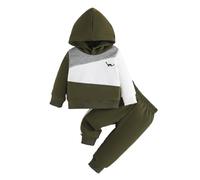 Baby Girls Summer Clothes Set 2 Piece Outfits Hoodies Sweatshirts Coats Pants Jogger Trousers Set Toddler Infant Contrast Color Clothes Floral Hoodie Sweatshirt Flower Pants Tracksuit