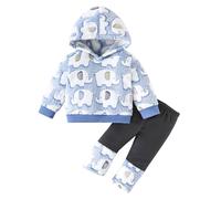 Baby Girls Summer Clothes Set 2 Piece Outfits Hoodies Sweatshirts Coats Pants Jogger Trousers Set Toddler Infant Contrast Color Clothes Floral Hoodie Sweatshirt Flower Pants Tracksuit