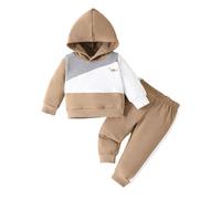 Baby Girls Summer Clothes Set 2 Piece Outfits Hoodies Sweatshirts Coats Pants Jogger Trousers Set Toddler Infant Contrast Color Clothes Floral Hoodie Sweatshirt Flower Pants Tracksuit
