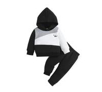 Baby Girls Summer Clothes Set 2 Piece Outfits Hoodies Sweatshirts Coats Pants Jogger Trousers Set Toddler Infant Contrast Color Clothes Floral Hoodie Sweatshirt Flower Pants Tracksuit