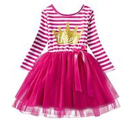 Baby Girls Toddler Kids Princess Long Sleeve Dress 1st/2nd/3rd Birthday Cake Smash Shiny Printed Striped Tulle Tutu Dress Party Outfit Hot Pink 3 Years