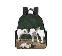 Baby Goat Kids On The Grass Book Bag 12.40x5.12x14.17inch Teacher Backpack Multipurpose Casual Back Pack Business Travel School,Office