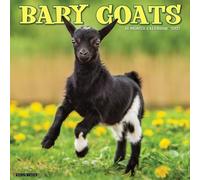 Willow Creek Press, Baby Goats 2027 Wall Calendar