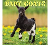Willow Creek Press, Baby Goats 2027 Wall Calendar
