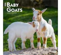 Baby Goats - Ziegenbabys 2026 - 16-Monatskalender: Original BrownTrout-Kalender [Mehrsprachig] [Kalender]