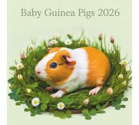 Baby Guinea Pig Calendar 2026: A Year of Cuteness with the Most Adorable Tiny Pigs