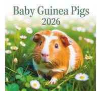 Baby Guinea Pig Calendar 2026: Adorable Moments of Tiny Guinea Pigs All Year Long