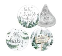 Baby It's Cold Outside Winter Baby Shower Chocolate Kisses Party Favor Candy Stickers - 180 Count