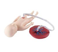 Baby Manikin with Umbilical Cord and Placenta, Neonatal Model Anatomical for Obstetrics and Gynecology Teaching Tool