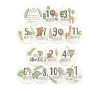 Baby Monthly Milestone Cards, 7 Pcs Wooden Double-Sided Newborn Welcome Signs for New Parents Gift Set Newborn Infants 0-12 Months Growth Recording Y8YELCBKP