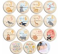 Baby Monthly Milestone Cards for Newborn Girl or Boy,Monthly Baby Milestone Cards Newborn Sign Baby Month Anniversary Cards,Baby Shower Cards Come with Organza Gift Bag (Milestone Wooden Circles)