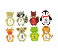 Baby Monthly Milestone Stickers 12 Pack for Newborn Photo Props | Paper Sheets, Film Surface, Wipe Clean Finish, Nursery Use and Photo Album Sharing, Baby Clothing