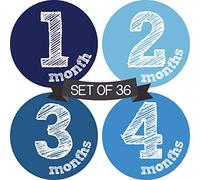 Baby Monthly Milestone Stickers for Boys - Newborn Month of The Year Stickers