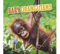 Baby Orangutans (Baby Animals)