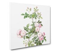 Baby Pink Roses by Pierre Joseph Redoute Canvas Print | Gallery Wrapped 30mm Frame Wall Art | 14x14 inches | Ready to Hang | Retro Floral Picture | Living Room Bedroom Lounge Office
