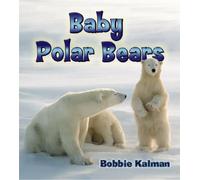 Baby Polar Bears