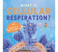 Baby Professor What is Cellular Respiration? Process, Products & Reactants of Baby Professor Multicolor