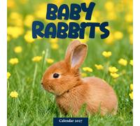 Baby Rabbits Calendar 2027: Young Rabbits and Nature Scenes