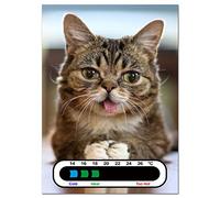 Baby Safe Ideas Meow Cat Nursery Room Thermometer - Using Latest Easy Read Colour Changing Technology - Also Great for Adults!