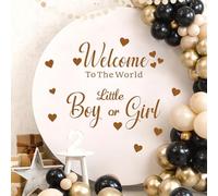 Baby Shower Backdrop Party Decals Boy Or Girl Sign Decal Neutral Gender Reveal Party Decorations Balloon Arch Decal Oh Baby Sign Decor He Or She Baby Shower Party Decorations Supplies