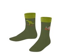 Baby socks Falke Dinosaurs Vert 23/26
