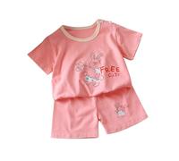 Baby Summer Outfits Newborn Cute Animals T Shirts Shorts Set 2 Piece Short Sleeve Dinosaur Cat Bunny Panda Print Toddler Boys Girls First Birthday Outfits Cotton (Hot Pink, 6-12 Months)