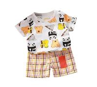 Baby Summer Outfits Newborn Cute Animals T Shirts Shorts Set 2 Piece Short Sleeve Dinosaur Cat Bunny Panda Print Toddler Boys Girls First Birthday Outfits Cotton (Yellow, 18-24 Months)