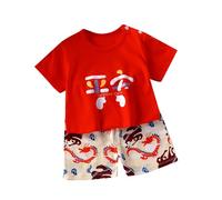 Baby Summer Outfits Newborn Cute Animals T Shirts Shorts Set 2 Piece Short Sleeve Dinosaur Cat Bunny Panda Print Toddler Boys Girls First Birthday Outfits Cotton (Red, 4-5 Years)
