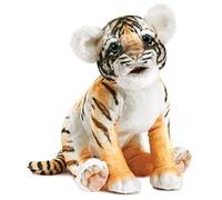 Baby Tiger