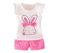 Baby Toddler Girls Cute Flowers Tops T Shirt Tee and Shorts Summer Outfits 2pcs Girls Clothing Sets (12-18 Months, Rabbit Rose Red)