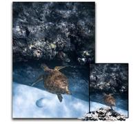 Baby Turtle Jigsaws 1000 Pieces for Adults Wooden Jigsaw Puzzles for Adults Home Activity for Holidays Birthdays And Family Game Nights 1000 PCS(75x50cm)