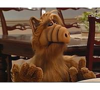 Baby, You Can Drive My Car