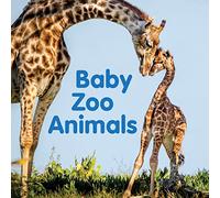 Baby Zoo Animals: Board book