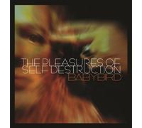 Babybird - The Pleasures Of Self Destruction