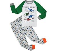 Babylike Boys Pajamas Dinosaur Little Kids Pjs Sets 100% Cotton Toddler Sleepwears(Gray Dinosuar,4 Years)