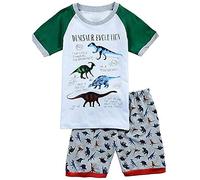 Babylike Dinosaur Boys Shorts 2 Piece Pajama 100% Cotton Nightwear Toddler Clothes Kids Sleepwear Short Sleeve Pjs Sets (Size:2-11 Years)(Gray Dinosuar/Short,7 Years)