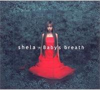 Baby'S Breath