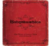 Babyshambles - Oh What A Lovely Tour - Babyshambles Live