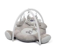Babyzee Bear Necessities Play Gym with detachable